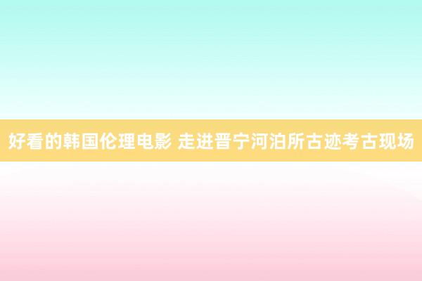 好看的韩国伦理电影 走进晋宁河泊所古迹考古现场