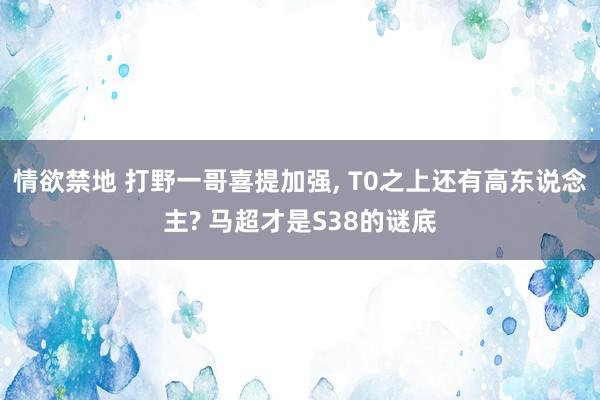 情欲禁地 打野一哥喜提加强, T0之上还有高东说念主? 马超才是S38的谜底