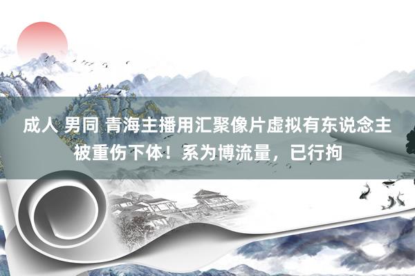 成人 男同 青海主播用汇聚像片虚拟有东说念主被重伤下体！系为博流量，已行拘