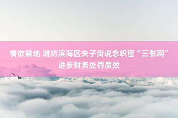 情欲禁地 潍坊滨海区央子街说念织密“三张网”进步财务处罚质效