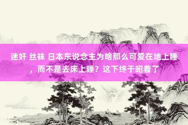 迷奸 丝袜 日本东说念主为啥那么可爱在地上睡，而不是去床上睡？这下终于昭着了