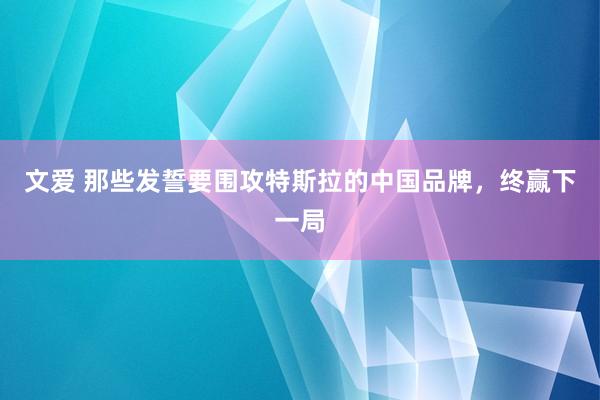 文爱 那些发誓要围攻特斯拉的中国品牌，终赢下一局