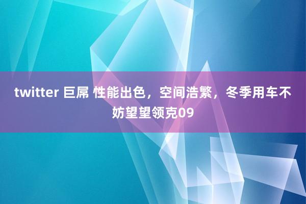 twitter 巨屌 性能出色，空间浩繁，冬季用车不妨望望领克09