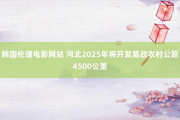 韩国伦理电影网站 河北2025年将开发篡改农村公路4500公里