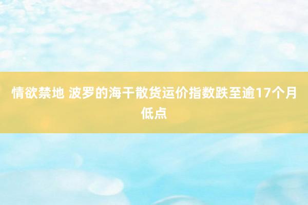 情欲禁地 波罗的海干散货运价指数跌至逾17个月低点