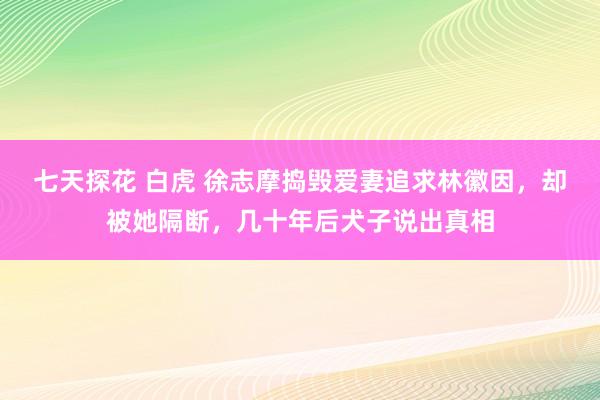 七天探花 白虎 徐志摩捣毁爱妻追求林徽因，却被她隔断，几十年后犬子说出真相