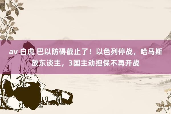 av 白虎 巴以防碍截止了！以色列停战，哈马斯放东谈主，3国主动担保不再开战